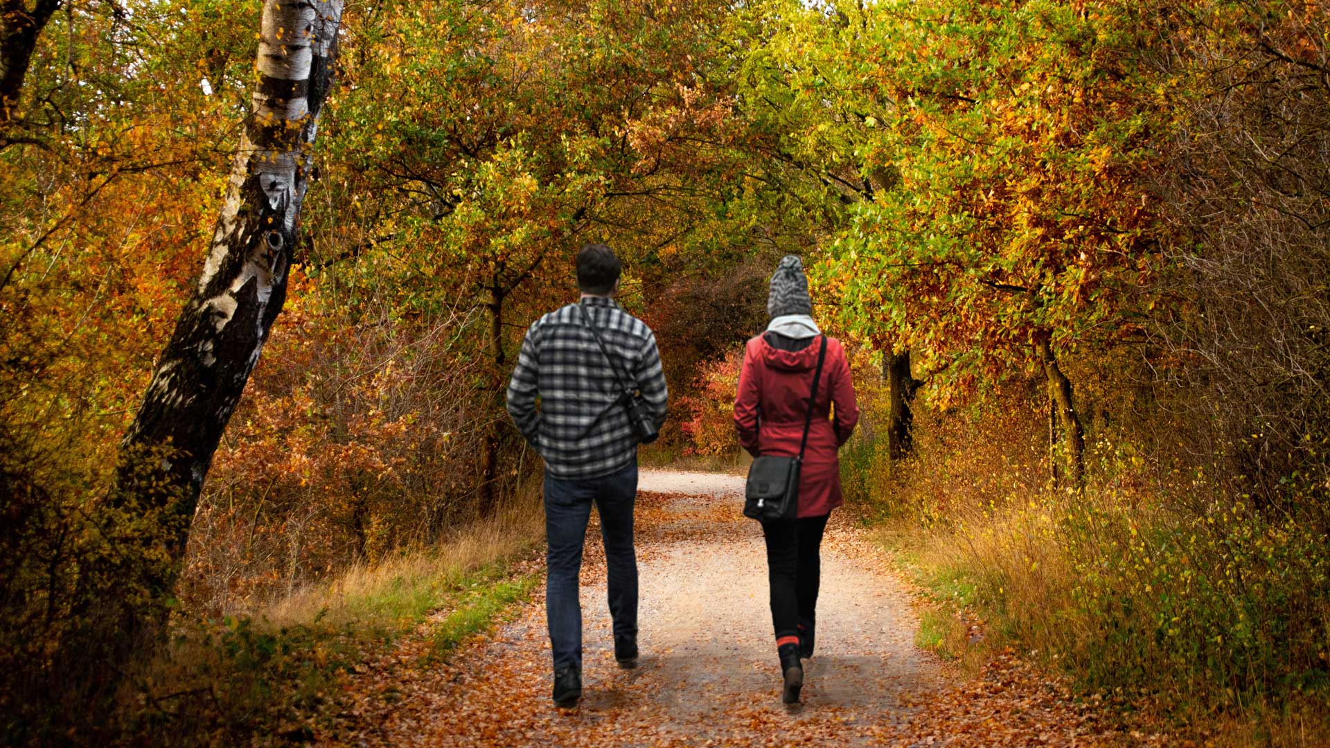 Zwei Personen gehen gemeinsam auf einem Waldweg.